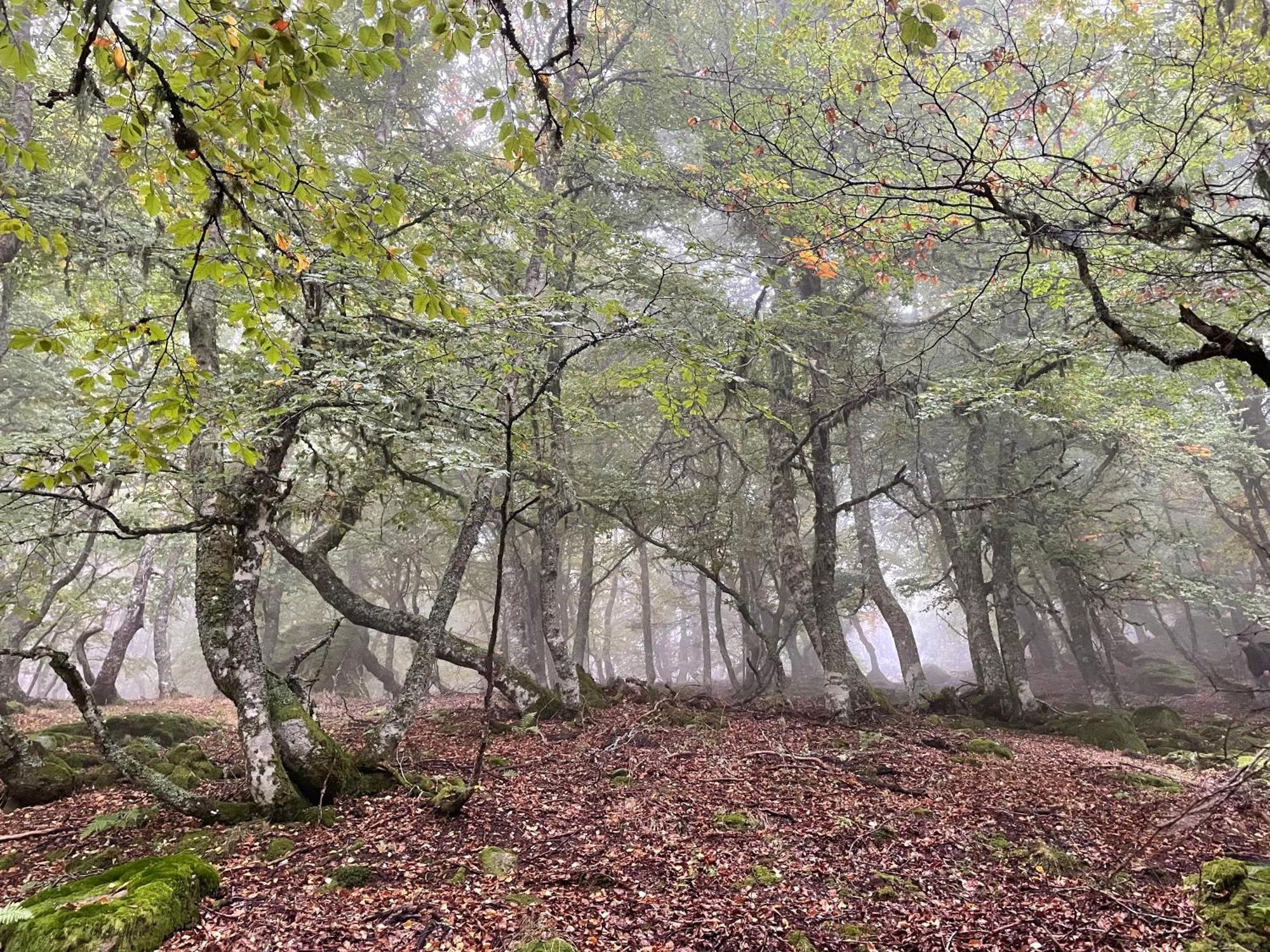 Los Chozos De La Brana Branosera Exteriér fotografie